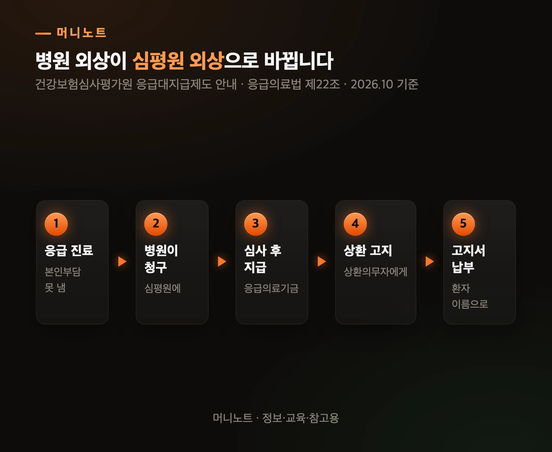 응급의료비 대지급 흐름